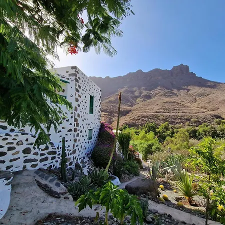 Tatil Evi Small Cozy House Susana